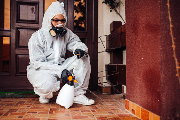Attic and Crawl Space Rodent Treatment in Fort Benton