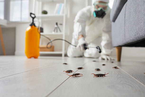 Commercial Rodent Management in Fort Benton
